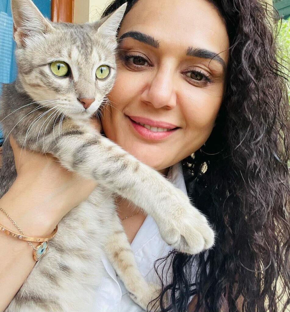 preity zinta cat